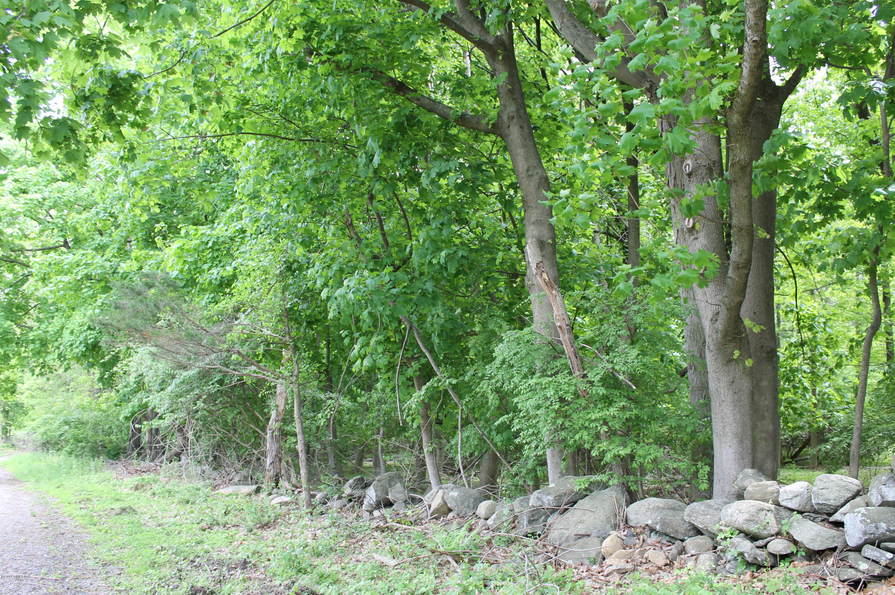 0 Taconic Road Greenwich, CT 06831 - Photo 4 of 5 a pathway of a forest