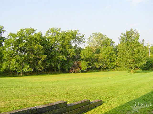 12436 North County Line Road East Spencerville, IN 46788 - Photo 3 of 25