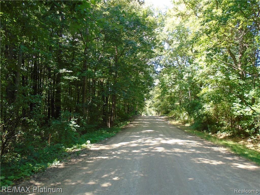 D 2 Germany Road Fenton, MI 48430 - Photo 7 of 27