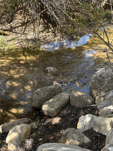 Undisclosed Address Spring City, UT 84662 - Photo 8 of 12 Natural water feature with surrounding large stones and varied ground cover