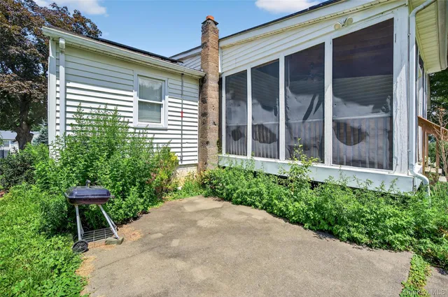 a view of a big yard with plants and large trees