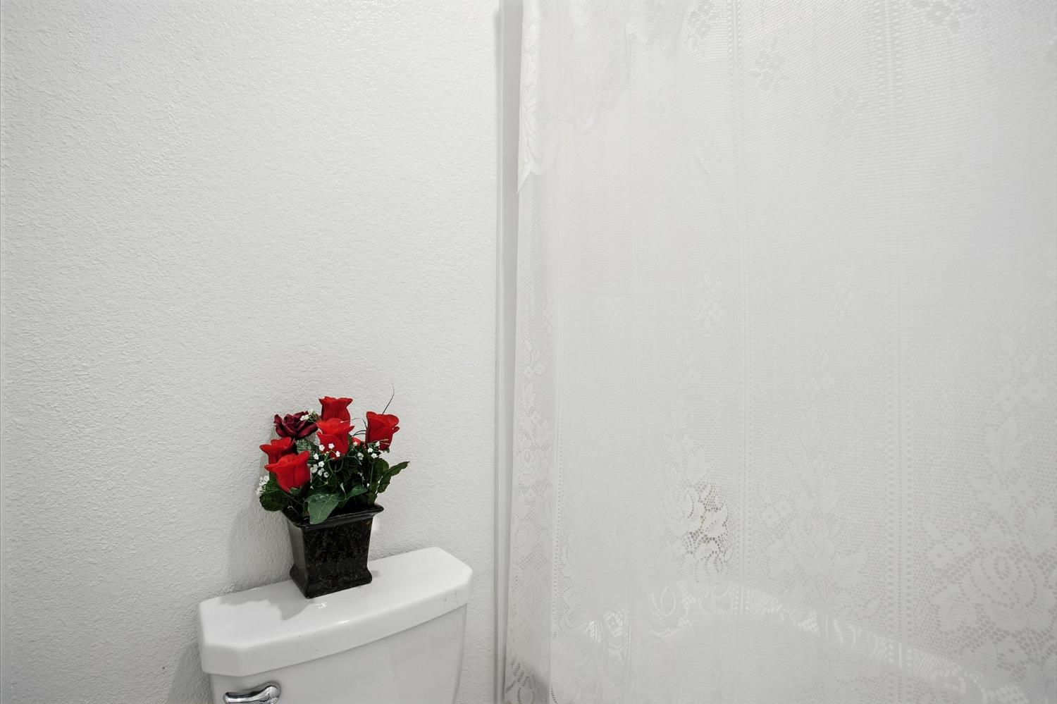 3742 Haymaker Way Sacramento, CA 95835 - Photo 28 of 39 a white painted room with a potted plant