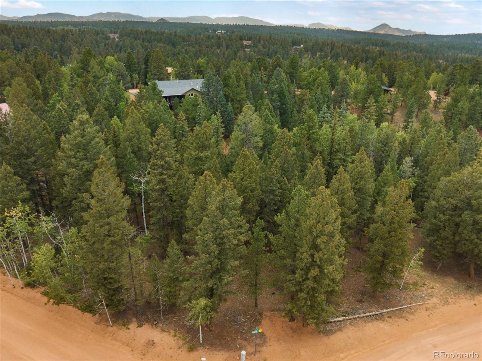 810 Ridge Road Divide, CO 80814 - Photo 27 of 27