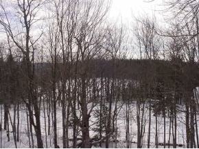 41 North Wind Road Wilmington, VT 05363 - Photo 2 of 7 Gallery Image 2