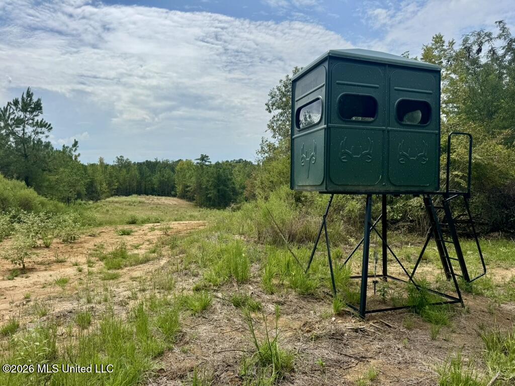 1 Chapel Hill Road Utica, MS 39175 - Photo 33 of 107 C1F4D556-5078-4BF6-A178-281AA88A9BB6_1_1