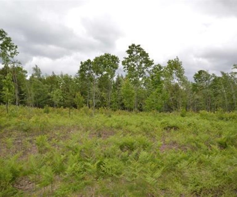 0 43 North 43 1/2 Road, Unit LOT: B Manton, MI 49663 - Photo 9 of 12