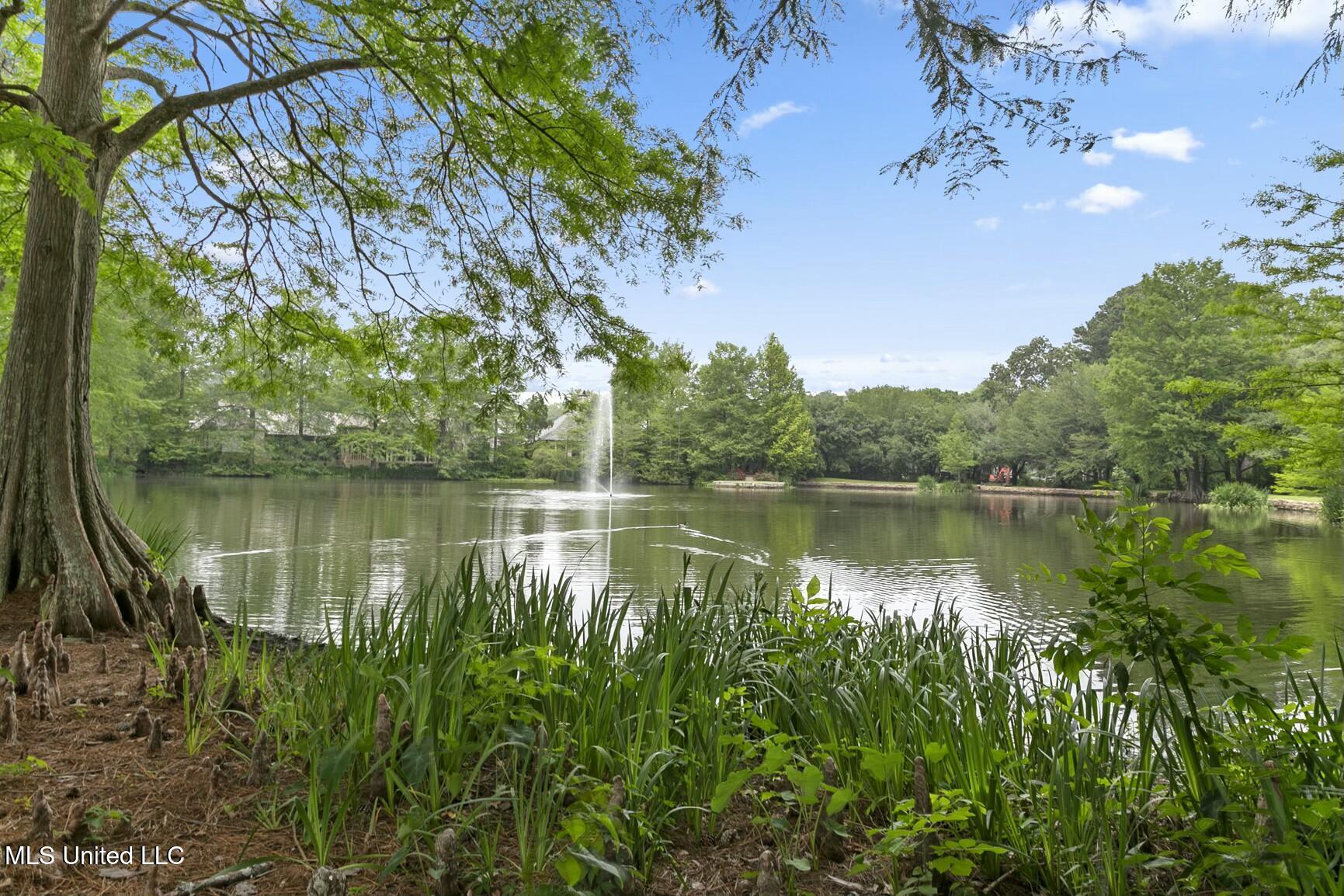 5 Pecan Tree Place Jackson, MS 39211 - Photo 54 of 62 tempImageOnBQSb
