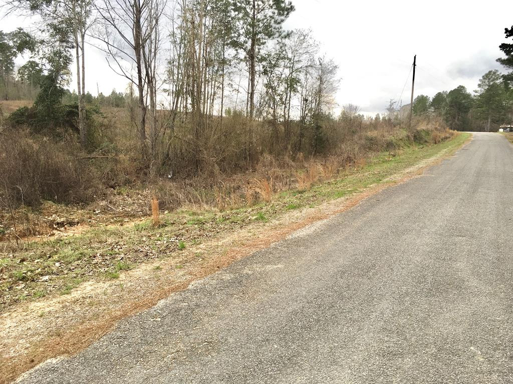 Tbd Nebo Road Gloster, MS 39638 - Photo 1 of 1 Main View