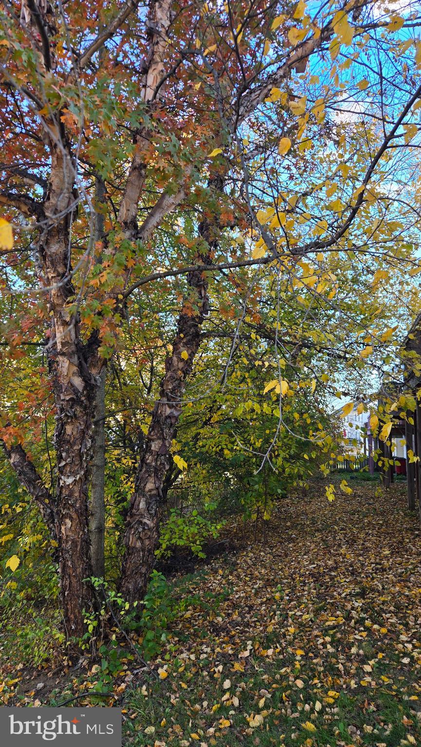 80 Ritter Drive Martinsburg, WV 25404 - Photo 28 of 28