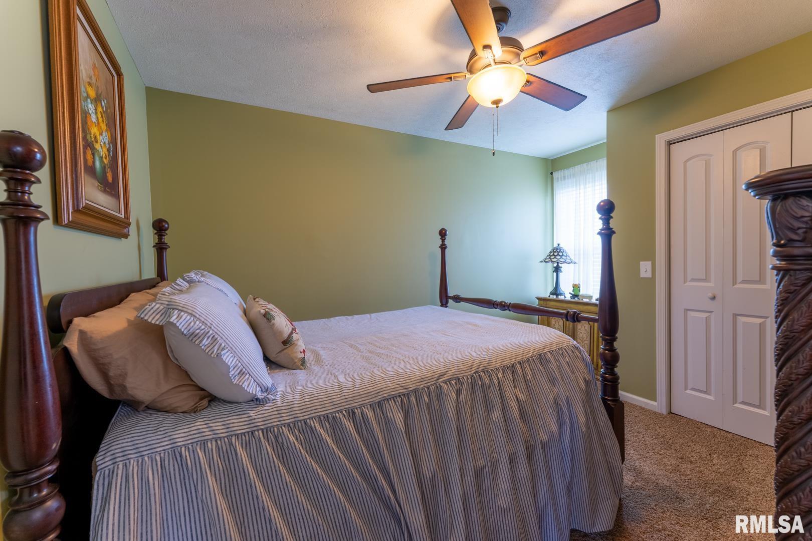 15766 Ciara Road Marion, IL 62959 - Photo 29 of 42