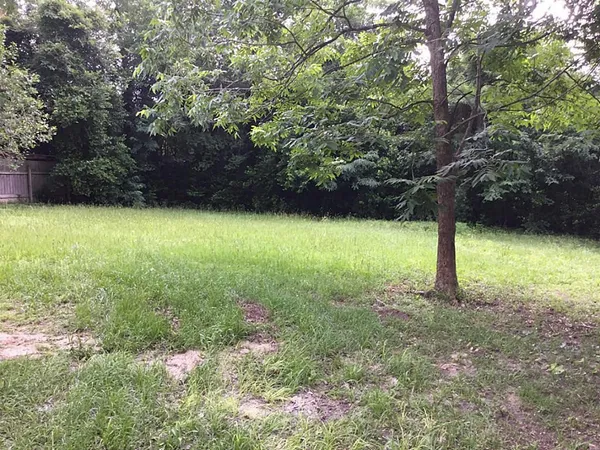 a view of a yard with a tree