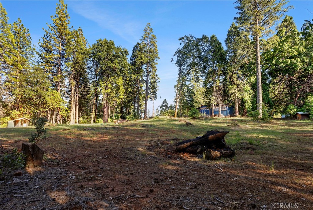 3353 Forbestown Road Oroville, CA 95966 - Photo 24 of 44