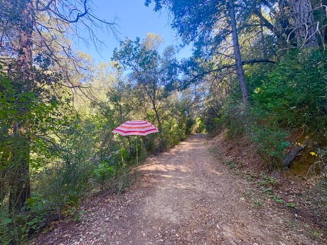 17500 Winding Oaks Road Grass Valley, CA 95949 - Photo 52 of 55 Umbrella marks staircase to swim hole