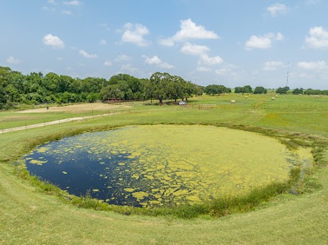 500 State Highway 31 West Dawson, TX 76639 - Photo 10 of 32 a view of an ocean and beach