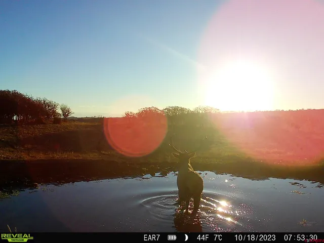 $960,000 | Tbd Divide Road, Whitewater, CO 81522