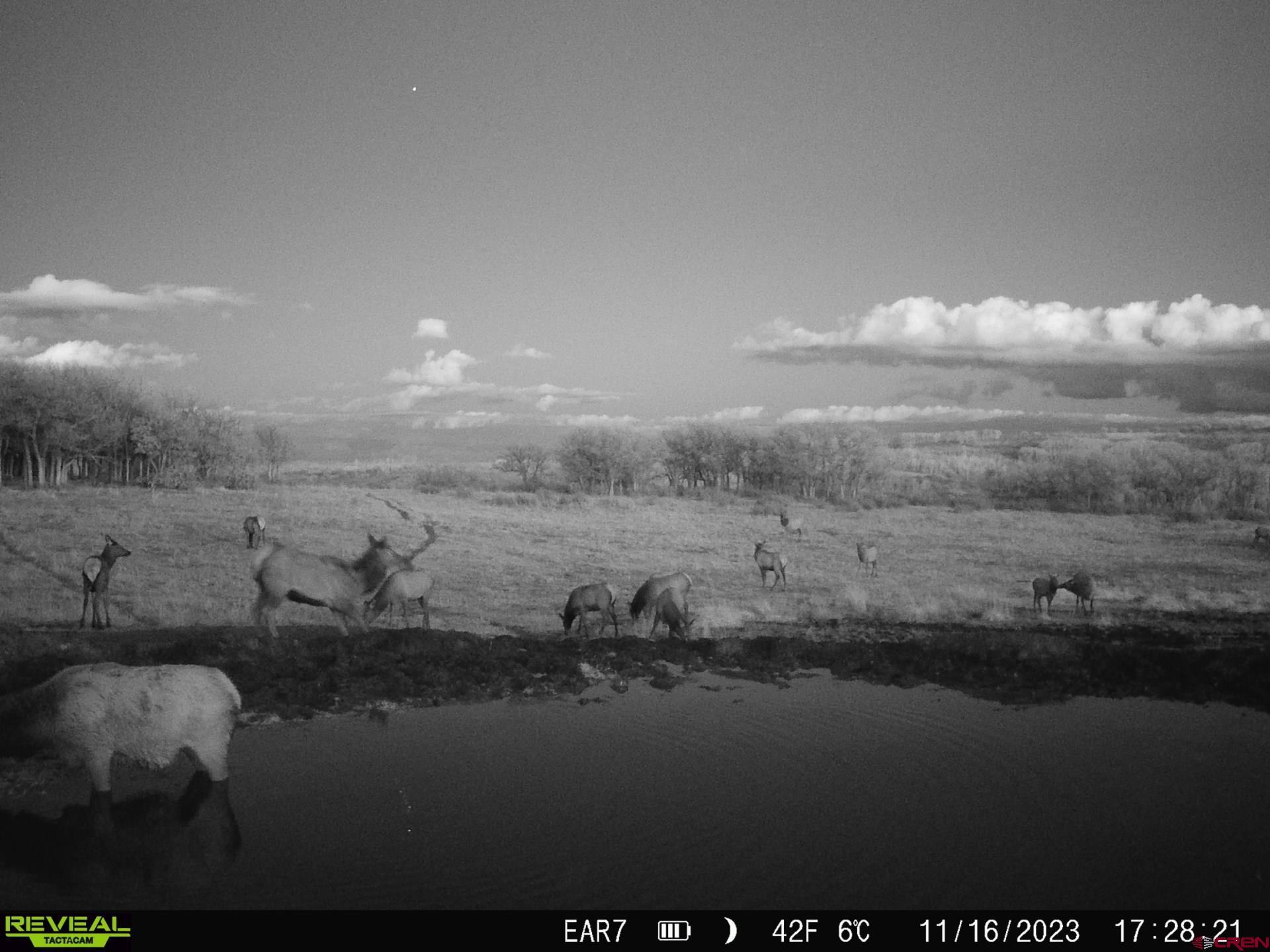 Tbd Divide Road Whitewater, CO 81522 - Photo 14 of 22