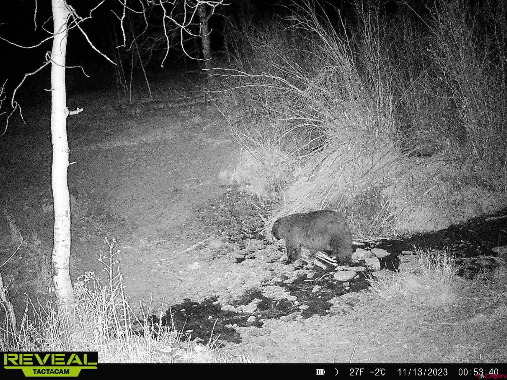 Tbd Divide Road Whitewater, CO 81522 - Photo 16 of 22 a view of outdoor space and yard