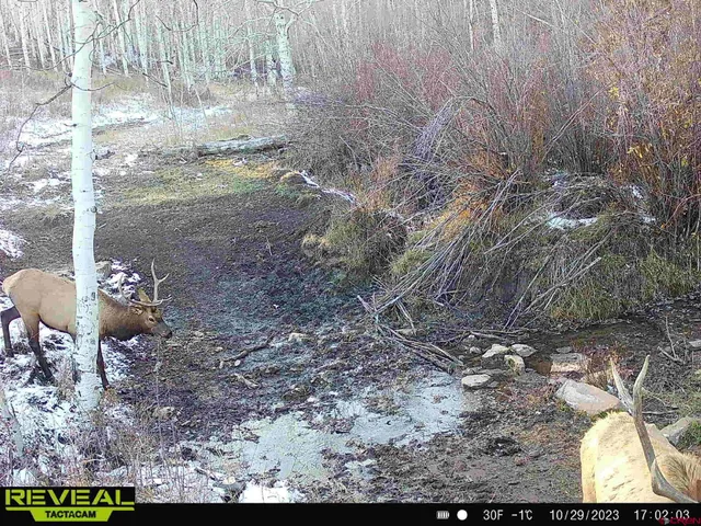 $960,000 | Tbd Divide Road, Whitewater, CO 81522