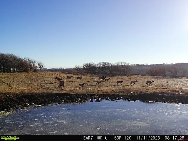 $960,000 | Tbd Divide Road, Whitewater, CO 81522