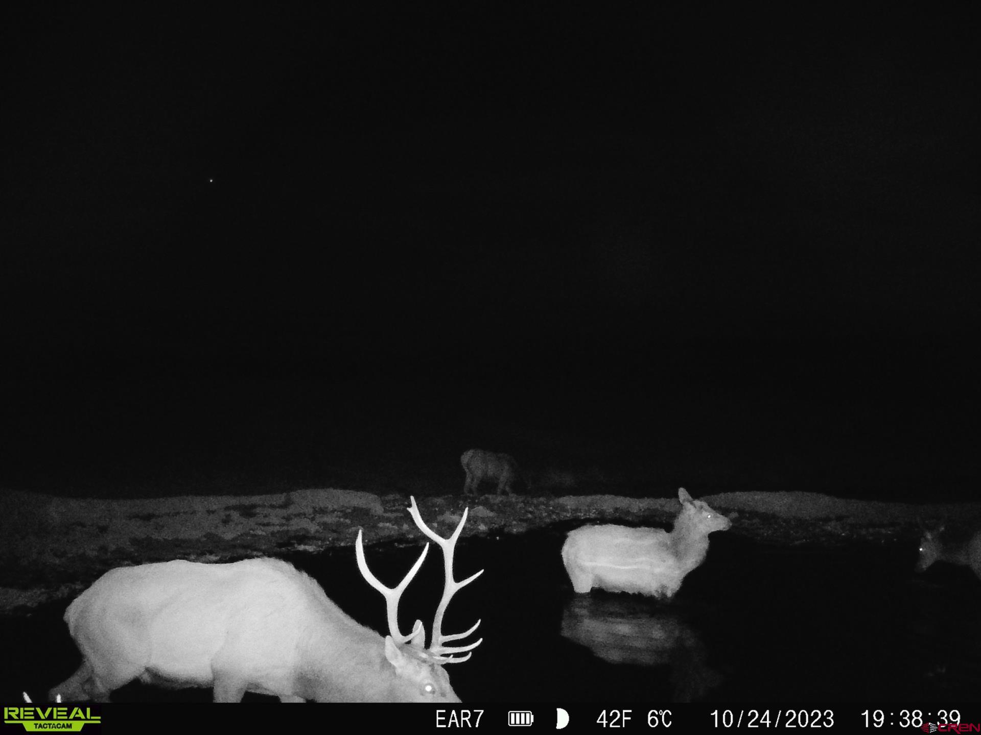 Tbd Divide Road Whitewater, CO 81522 - Photo 19 of 22