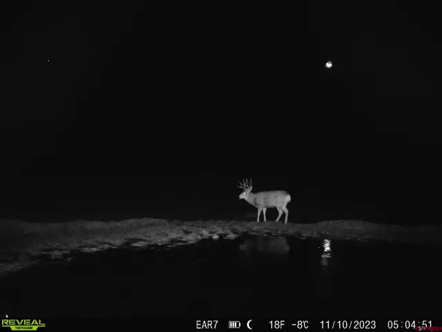 $960,000 | Tbd Divide Road, Whitewater, CO 81522