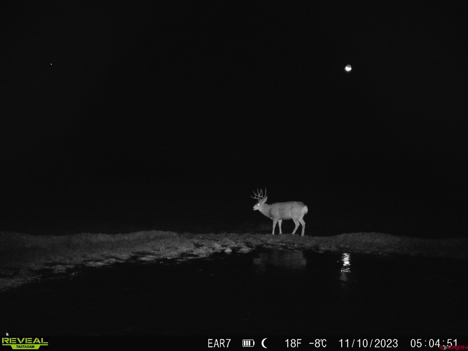 Tbd Divide Road Whitewater, CO 81522 - Photo 20 of 22