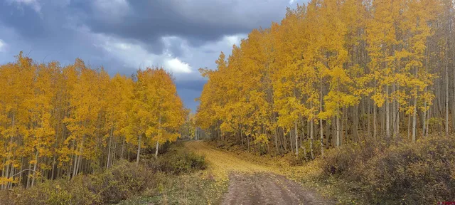 $960,000 | Tbd Divide Road, Whitewater, CO 81522