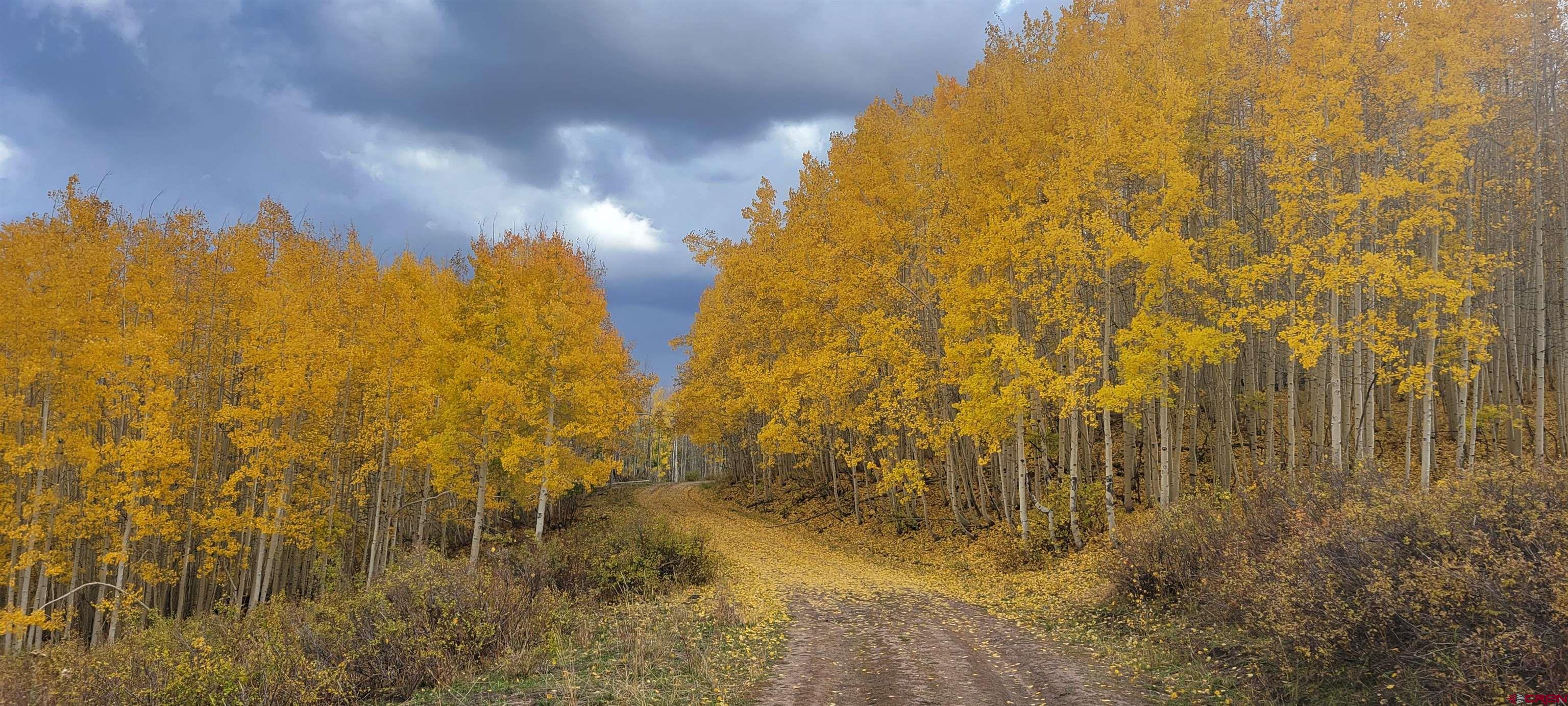 Tbd Divide Road Whitewater, CO 81522 - Photo 3 of 22 a view of a yard