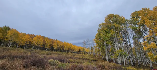 $960,000 | Tbd Divide Road, Whitewater, CO 81522