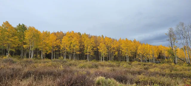 $960,000 | Tbd Divide Road, Whitewater, CO 81522