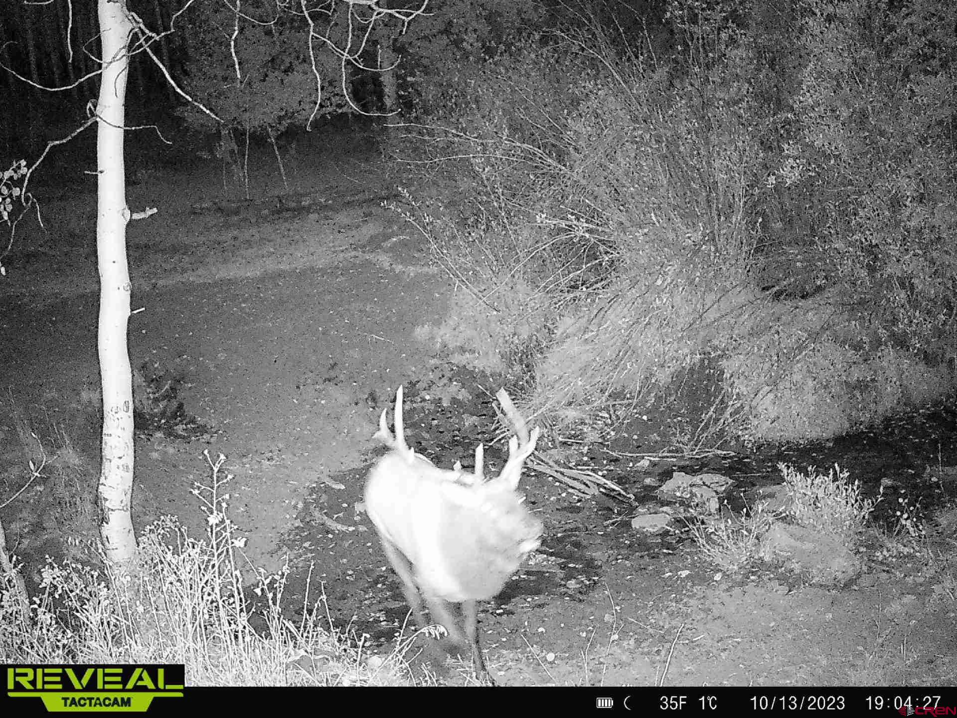Tbd Divide Road Whitewater, CO 81522 - Photo 10 of 22 a view of a yard