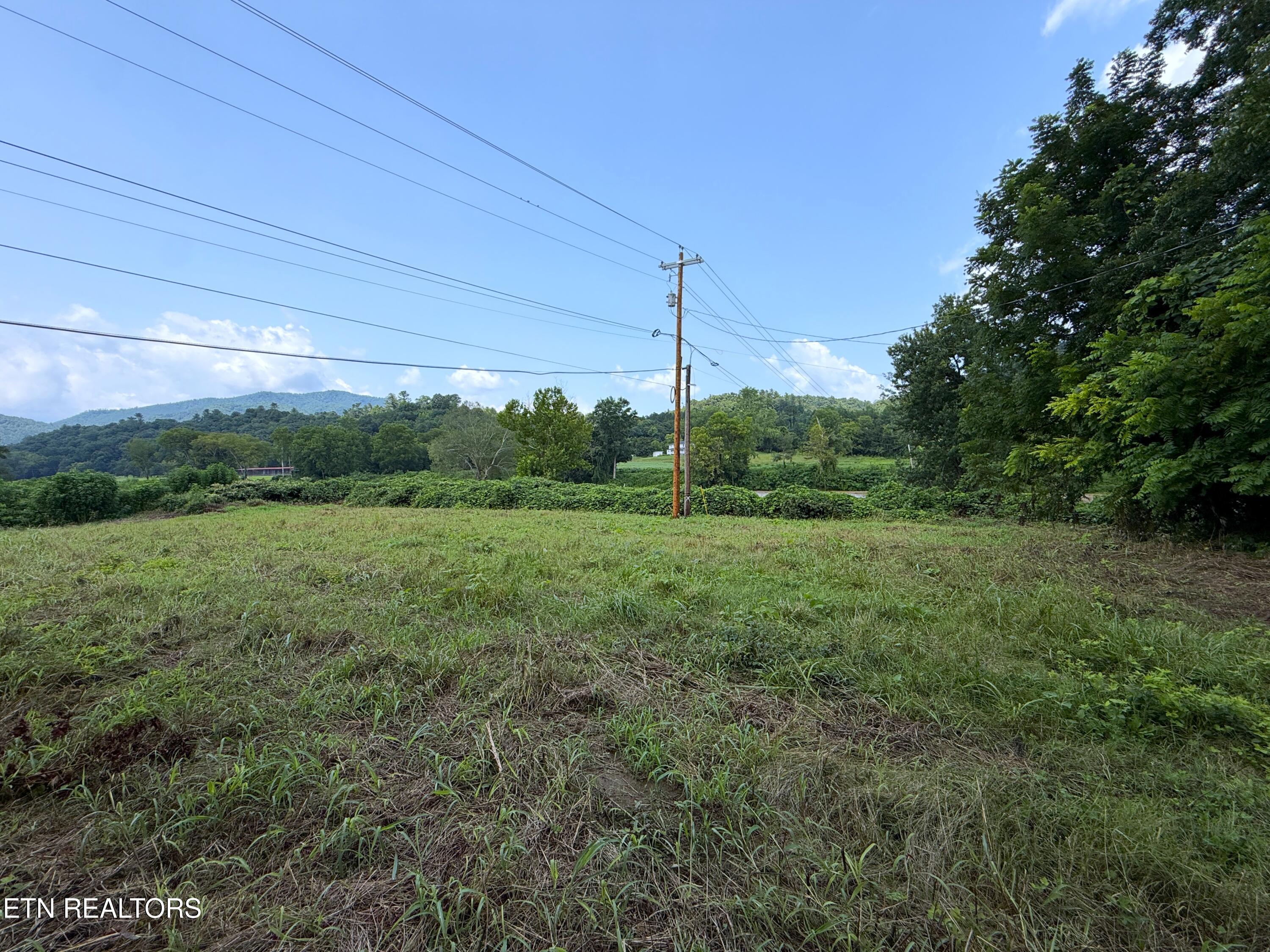 107 South Highway 107 Del Rio, TN 37727 - Photo 12 of 24 12