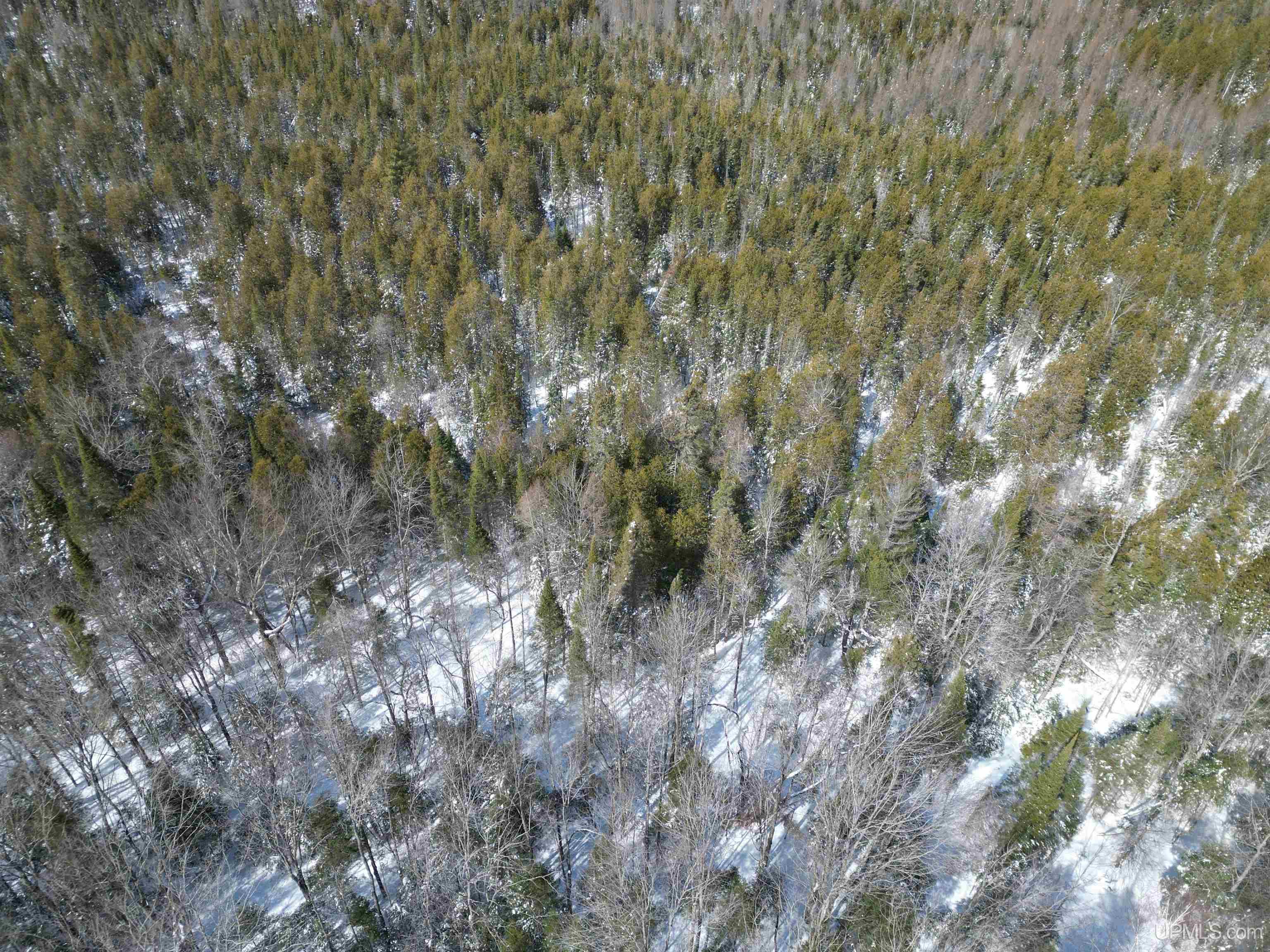 Tbd West Smith Lake Road Manistique, MI 49854 - Photo 13 of 20