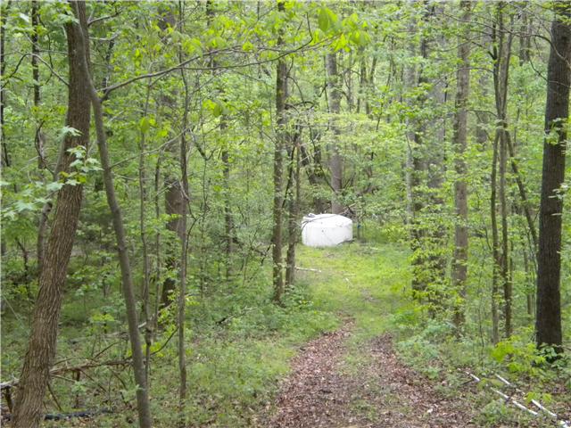 2447 Petty Branch Road Prospect, TN 38477 - Photo 15 of 20 SPRING HOLDING TANK