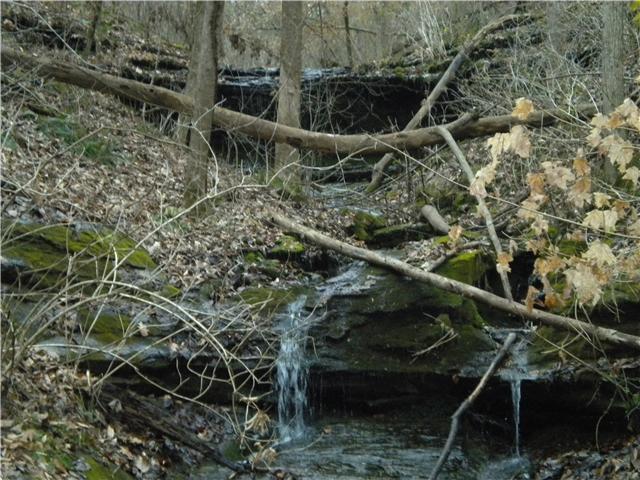 2447 Petty Branch Road Prospect, TN 38477 - Photo 19 of 20 WATERFALL IN BACK OF TRACT