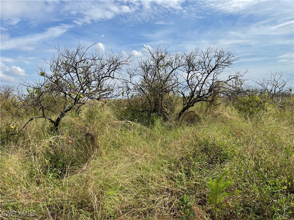 6625 7th Road LaBelle, FL 33935 - Photo 2 of 4
