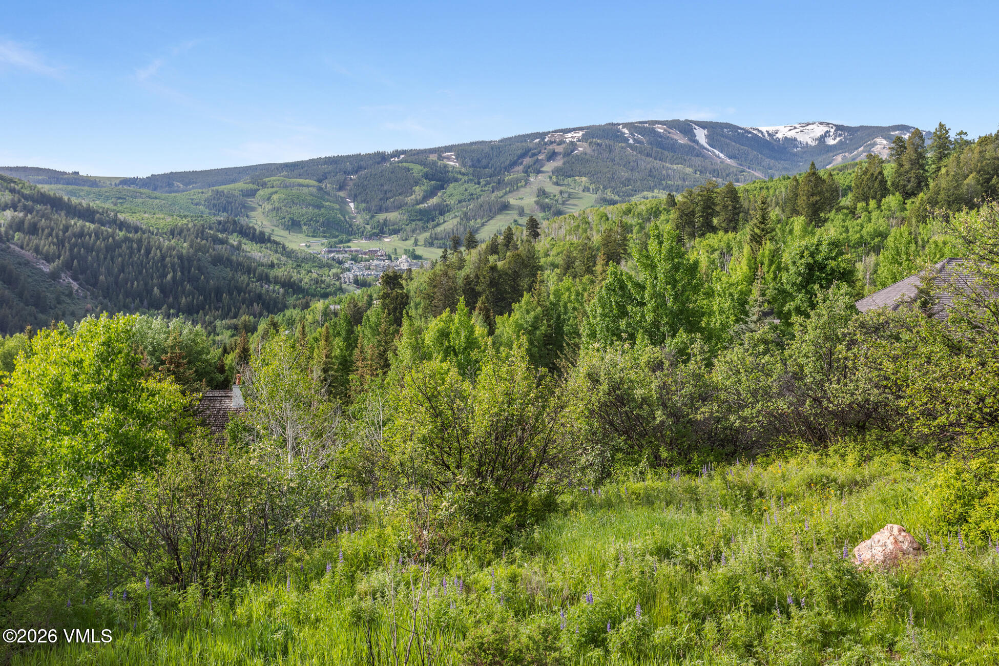 312 Holden Road Beaver Creek, CO 81620 - Photo 7 of 45 a view of a lush green forest with mountains in the background