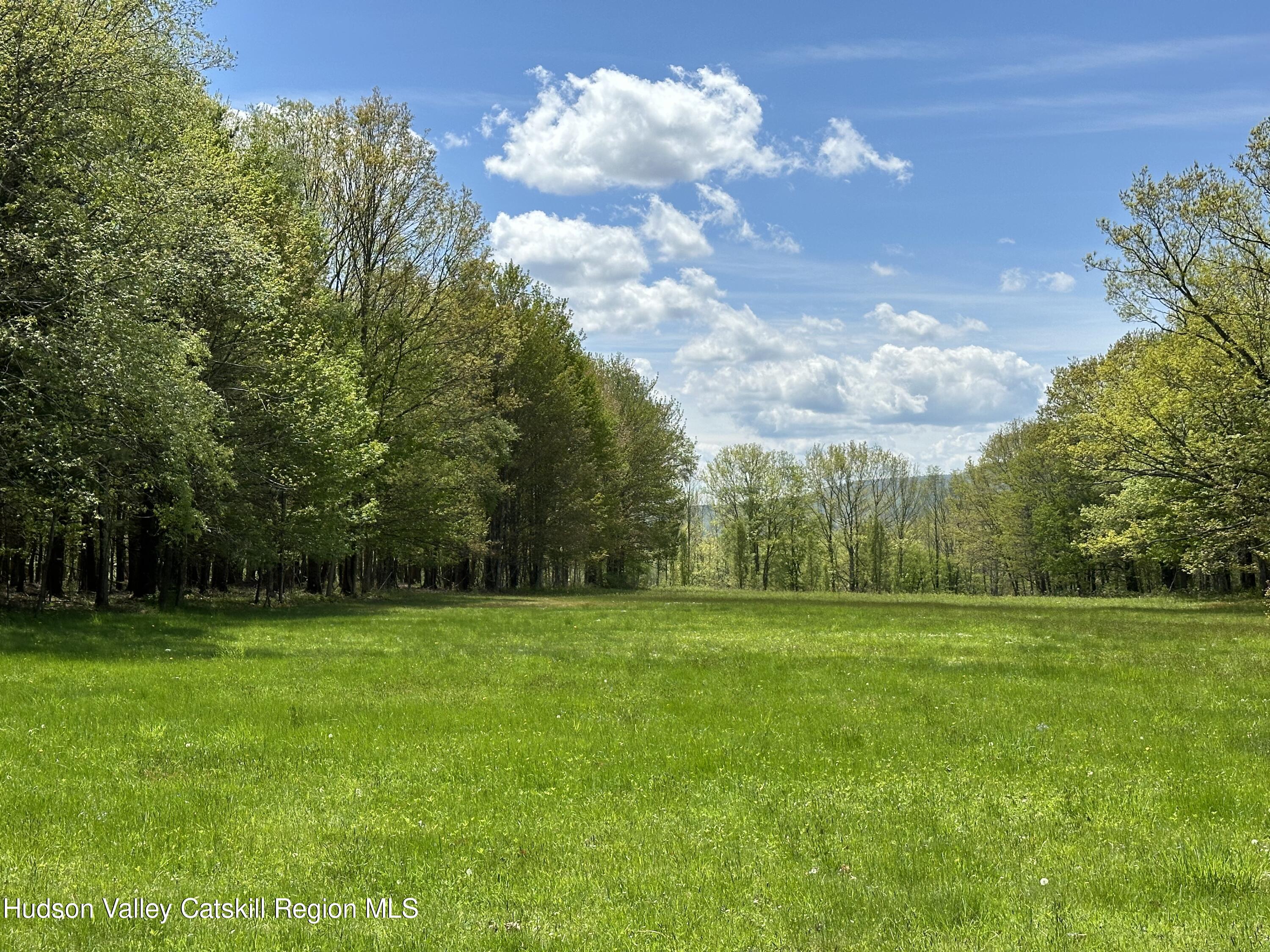 978 Scott Greene Road Roxbury, NY 12474 - Photo 4 of 41 a view of a grassy field