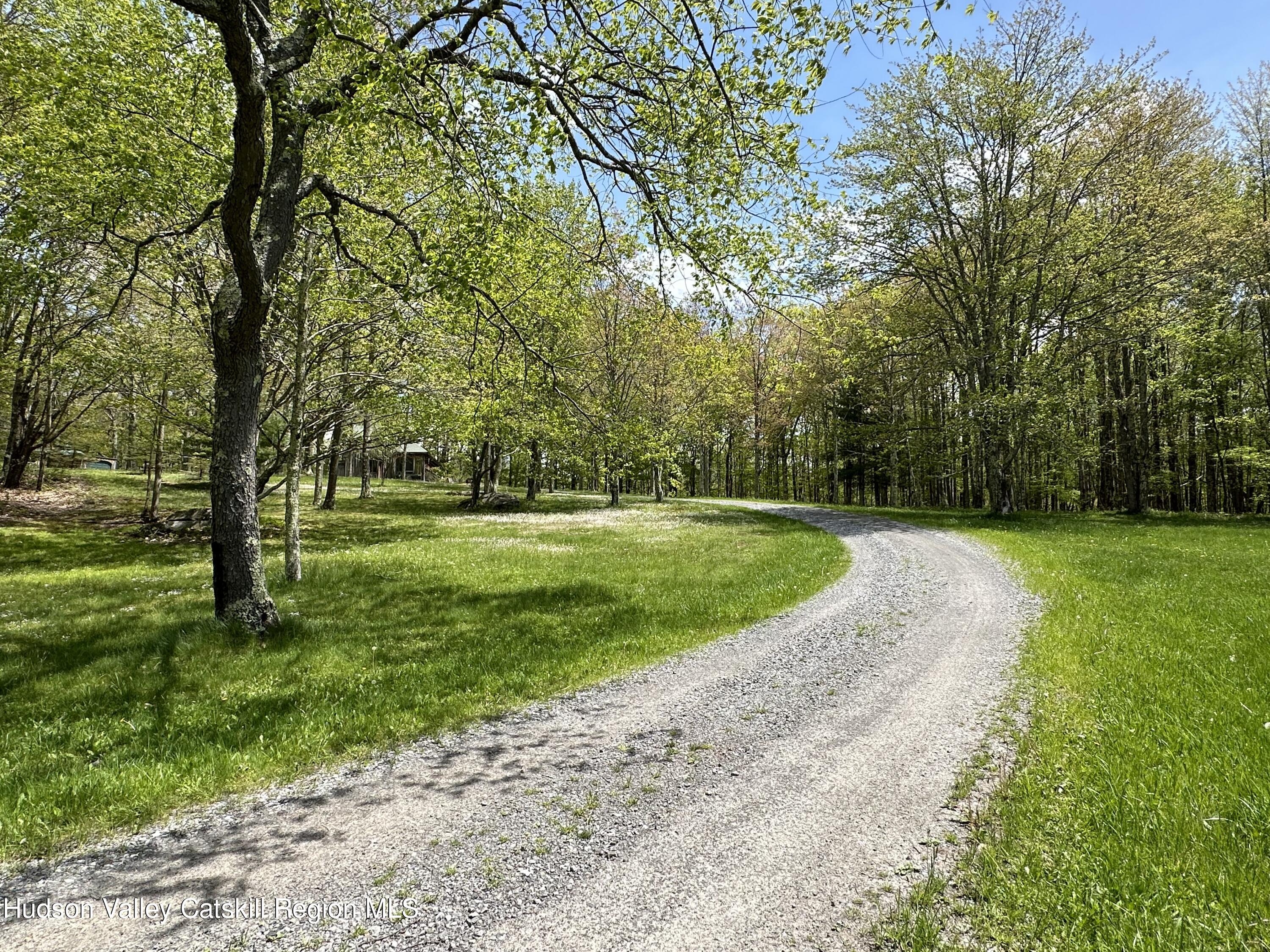 978 Scott Greene Road Roxbury, NY 12474 - Photo 41 of 41 a view of a park with large trees