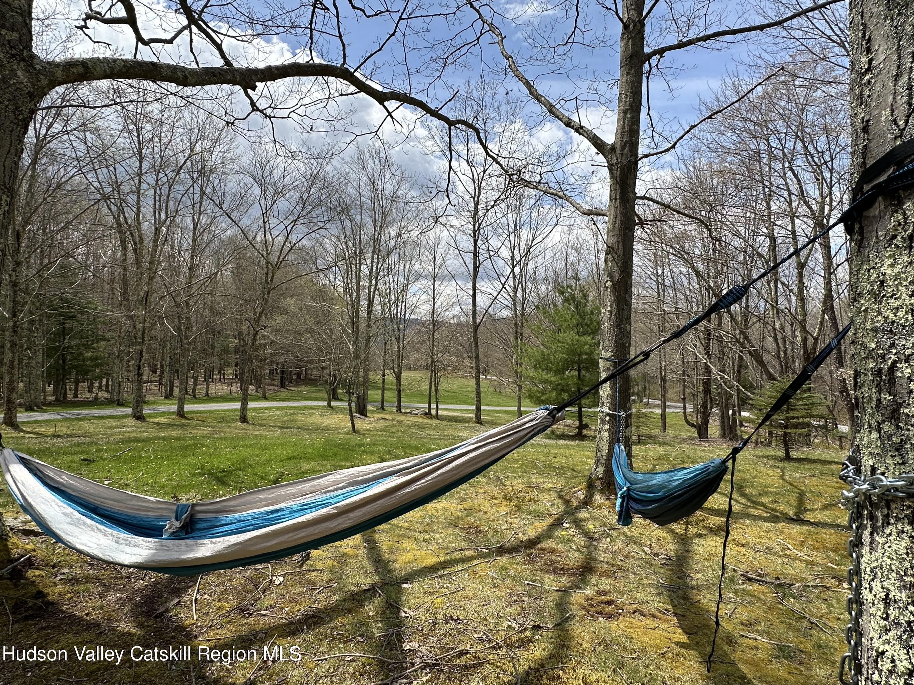 978 Scott Greene Road Roxbury, NY 12474 - Photo 5 of 41 a view of a park with large trees
