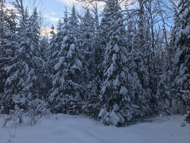 0 South McIntyre Road Houlton, ME 04730 - Photo 15 of 16 IMG_2224