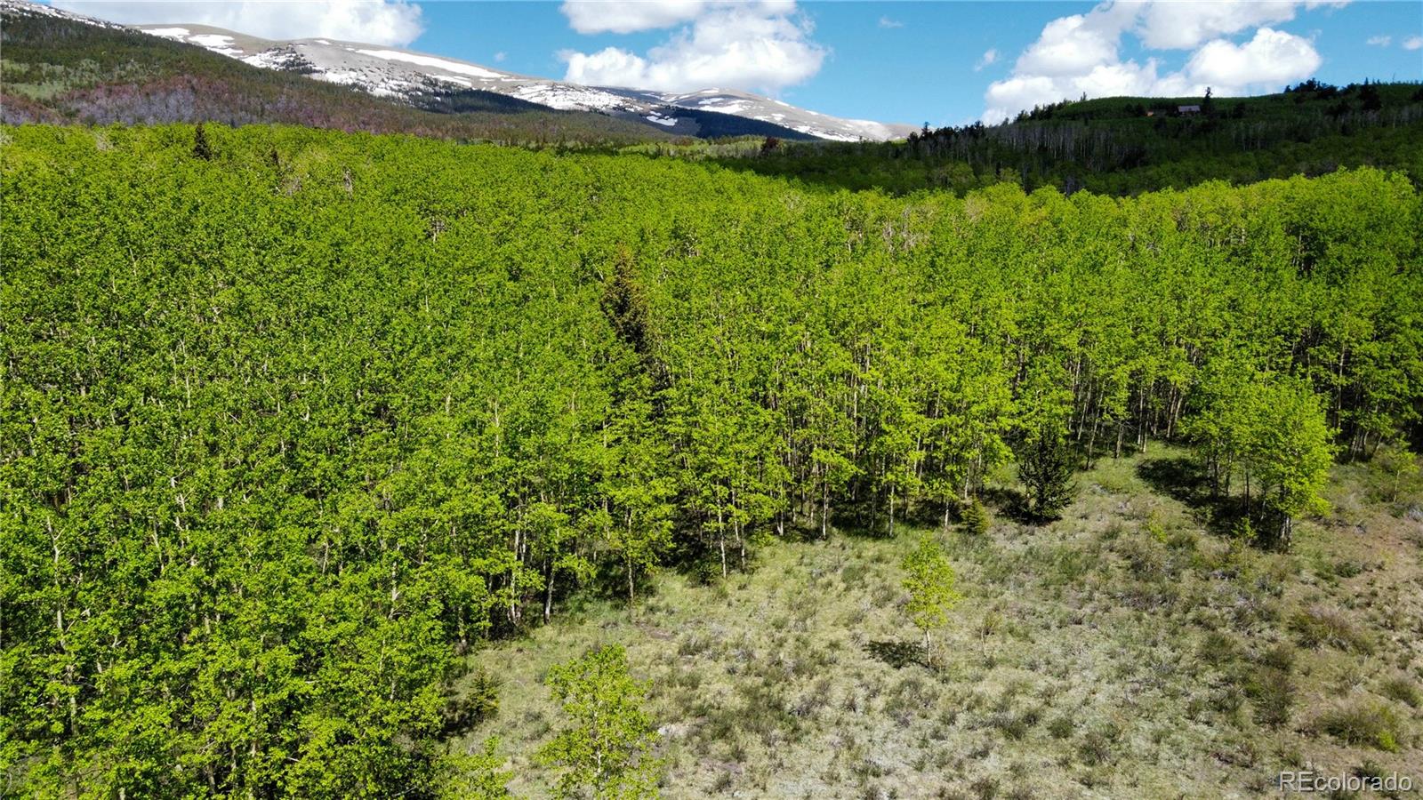 63 Pine Ridge Road Fairplay, CO 80440 - Photo 2 of 10