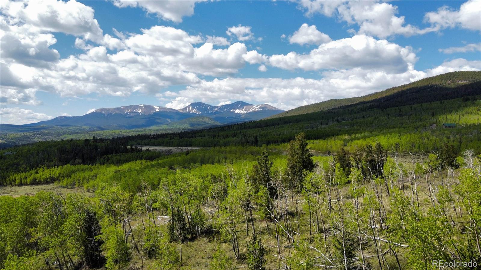 63 Pine Ridge Road Fairplay, CO 80440 - Photo 4 of 10