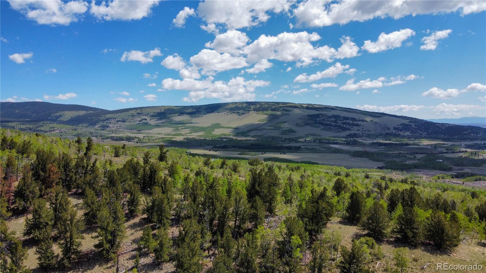 63 Pine Ridge Road Fairplay, CO 80440 - Photo 5 of 10