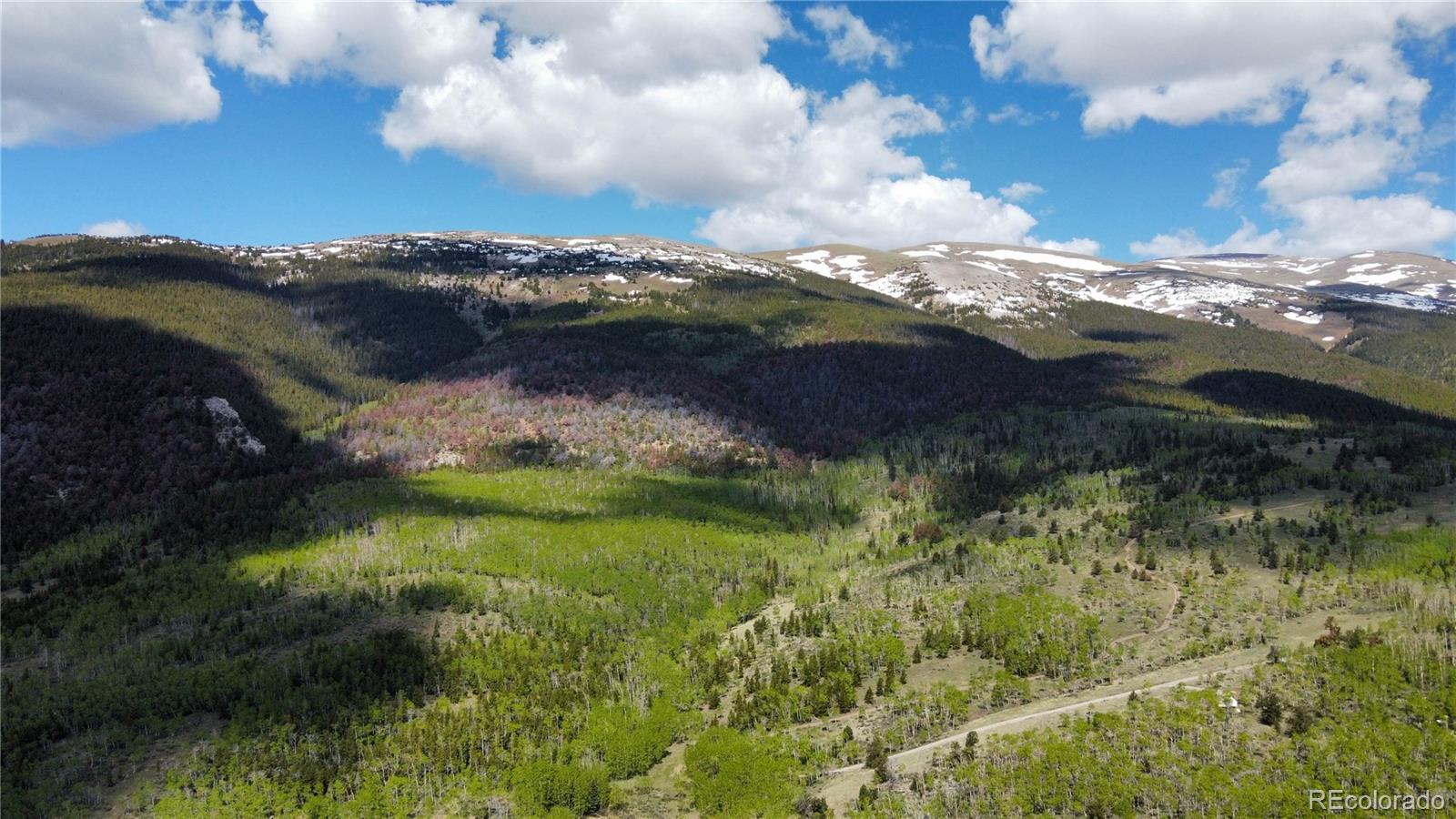 63 Pine Ridge Road Fairplay, CO 80440 - Photo 6 of 10