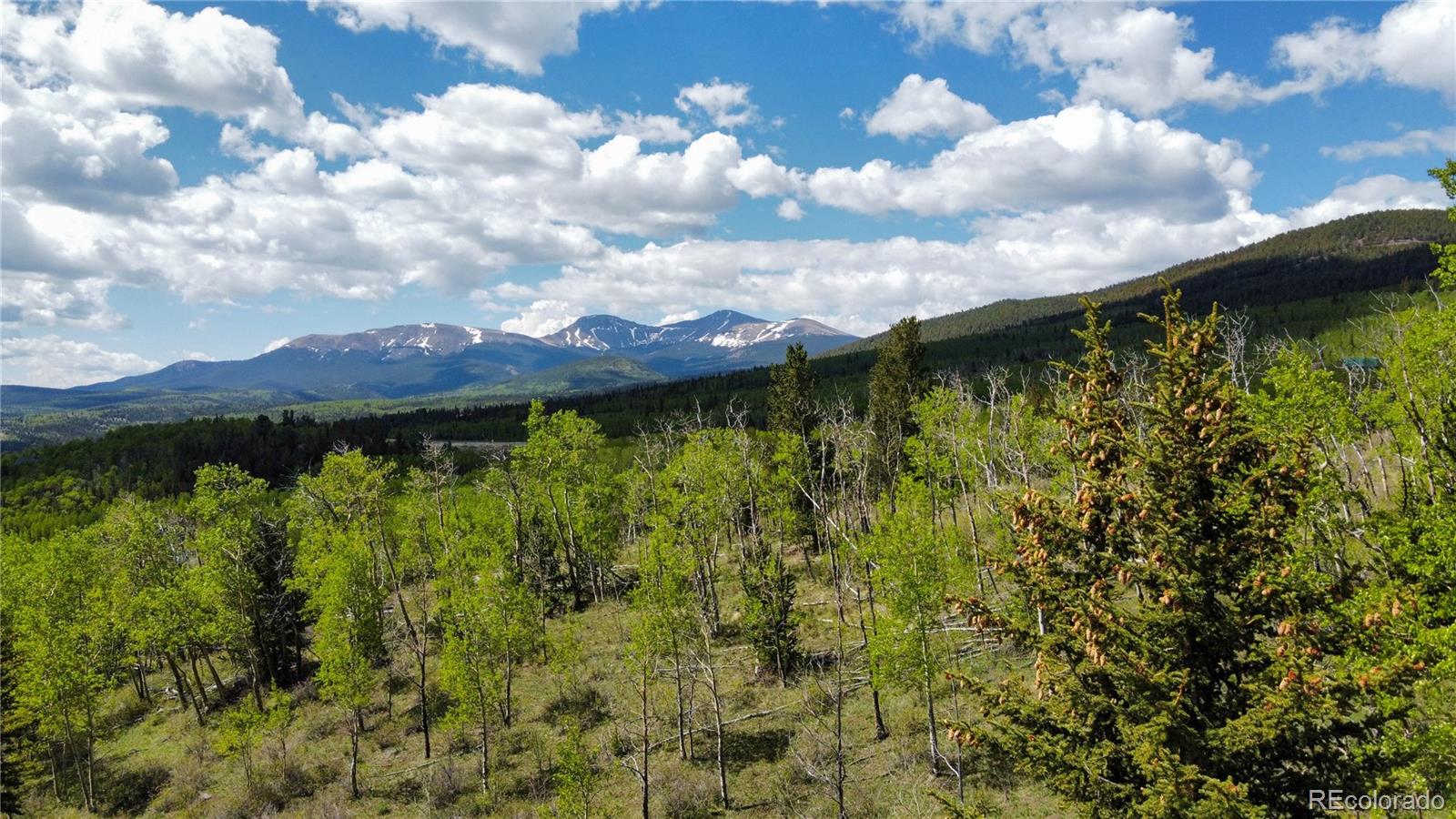 63 Pine Ridge Road Fairplay, CO 80440 - Photo 9 of 10