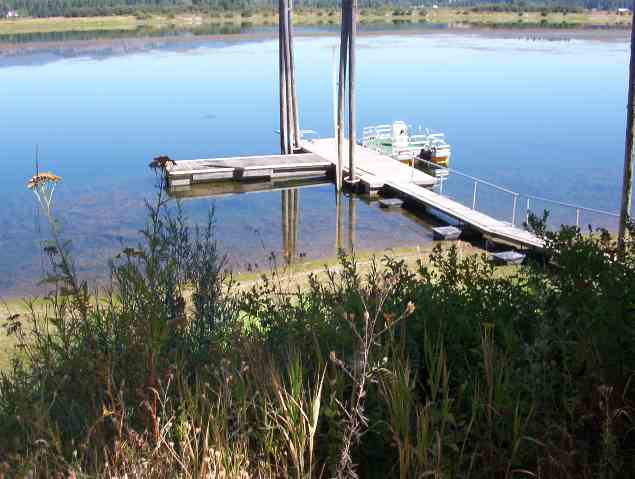 962 North Davis Road Usk, WA 99180 - Photo 3 of 9 Gallery Image 3