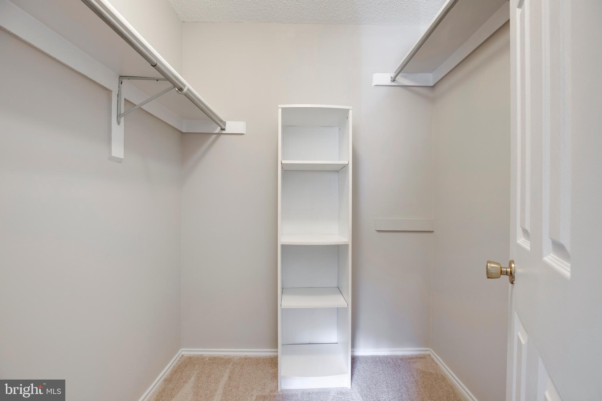 20950 Timber Ridge Terrace, Unit 202 Ashburn, VA 20147 - Photo 20 of 22 a view of walk in closet with empty racks