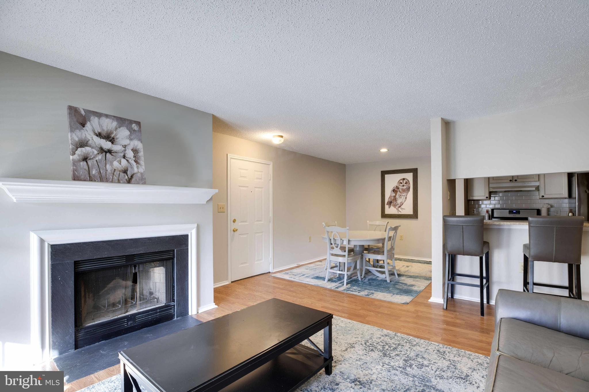 20950 Timber Ridge Terrace, Unit 202 Ashburn, VA 20147 - Photo 6 of 22 a living room with furniture a fireplace and kitchen view