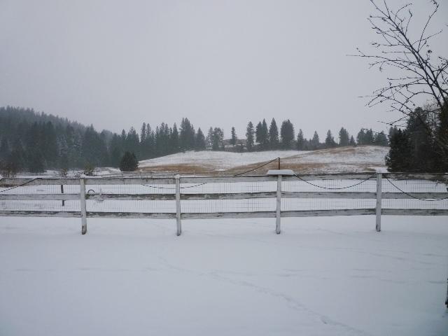 11802 North Forker Road Spokane, WA 99217 - Photo 8 of 9
